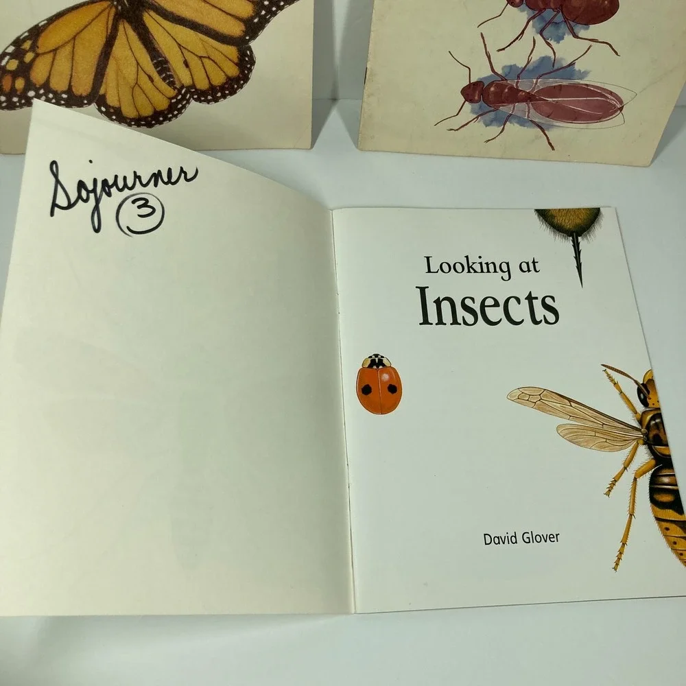Lot Of 6 Insect Paperback Single Copies Children‎ Homeschool Tutoring Classroom